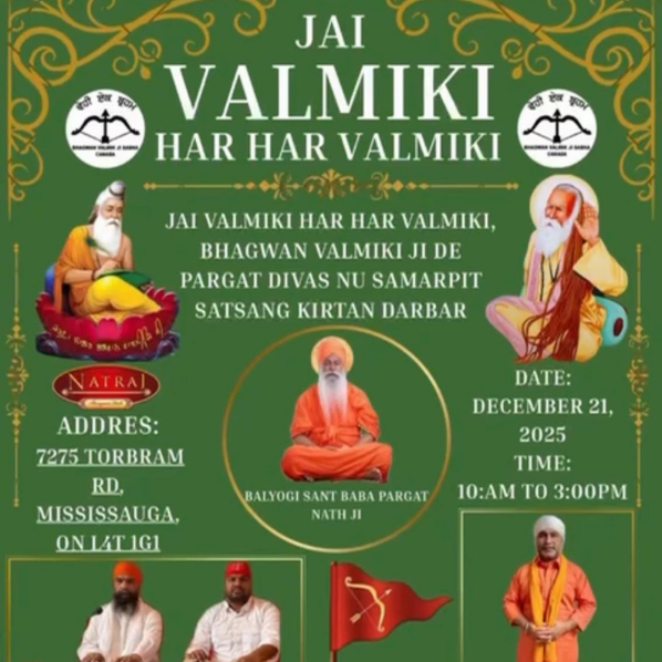 Gallery Collection 11