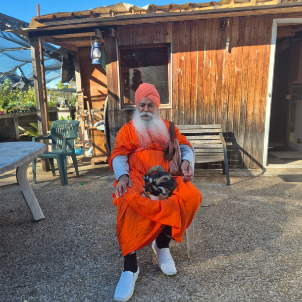 Gallery Collection 15