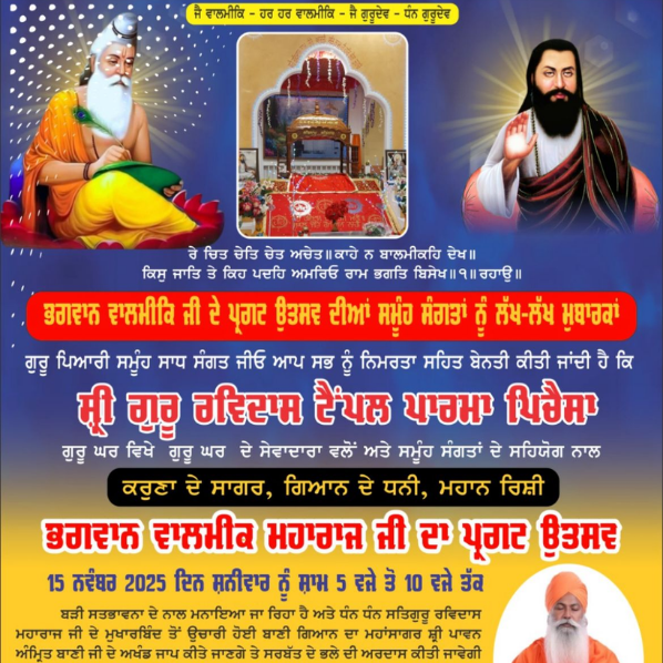 Gallery Collection 17