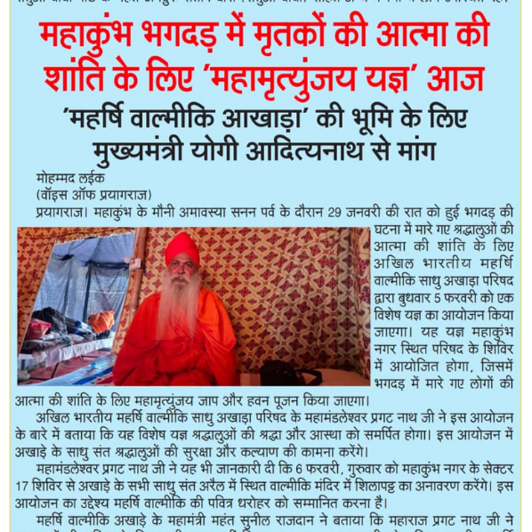 Gallery Collection 18